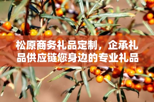 松原商务礼品定制，企承礼品供应链您身边的专业礼品定制公司
