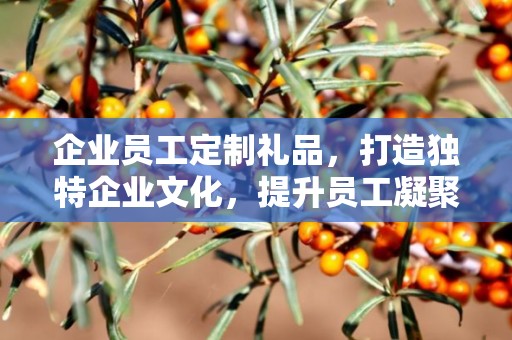 企业员工定制礼品，打造独特企业文化，提升员工凝聚力